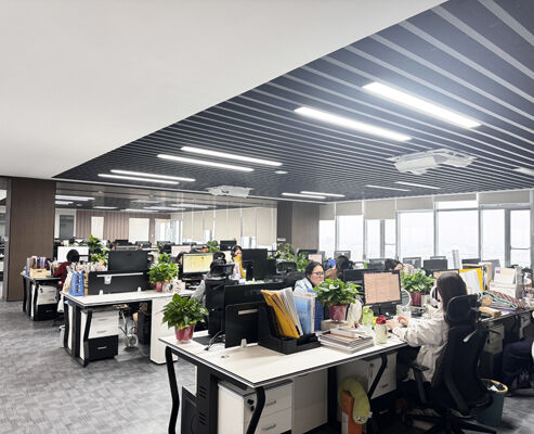 LA CHINE SONSILL HOLDING Profil de la société