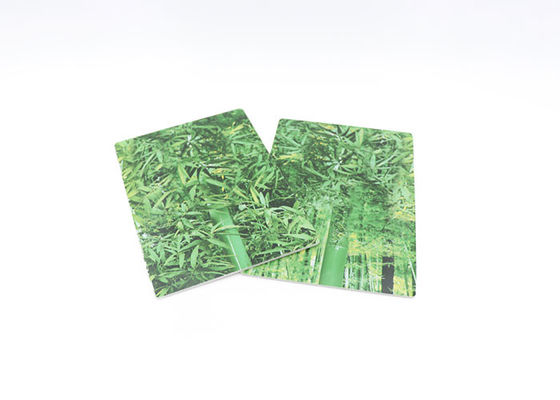 Hauts panneaux brillants imperméables de PVC pour le panneau de mur UV d'impression des murs intérieurs 3D