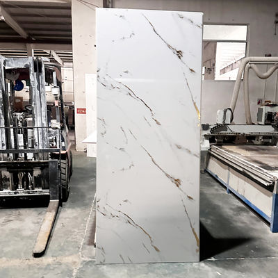 Livraison en vrac 1000x2400 mm Panneau mural de douche en PVC pour projet de construction