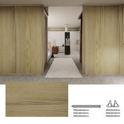 Panneau de séparation en PVC imperméable à l'eau, à l'incendie et à l'humidité Panneau de séparation pour espace intérieur