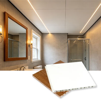 Des feuilles de nid d'abeille d'aluminium de 9 mm de haute résistance légères pour revêtement de mur