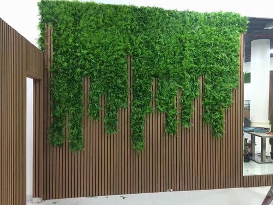 Panneau de mur extérieur extérieur du panneau de mur de l'extrusion WPC de Co 219x26mm