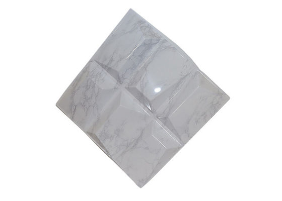 Panneau de mur moderne ignifuge de PVC 3D d'Art Rich Models pour la décoration d'intérieur