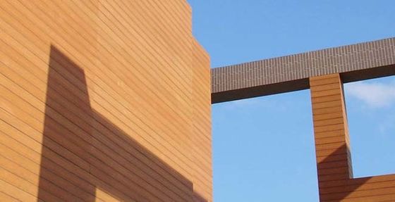 Revêtement extérieur de panneau de mur de Wpc d'extrusion de Co imperméable pour la décoration de jardin