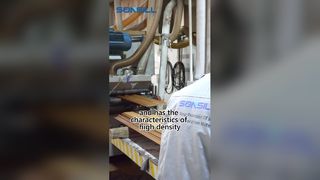 panneaux de revêtement mural extérieurs extérieurs extérieurs WPC